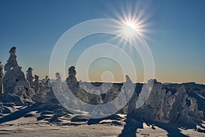 Winter sun on Krizava hill in Mala Fatra near Martinske Hole