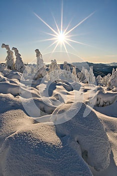 Winter sun on Krizava hill in Mala Fatra near Martinske Hole