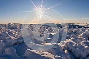 Winter sun on Krizava hill in Mala Fatra near Martinske Hole