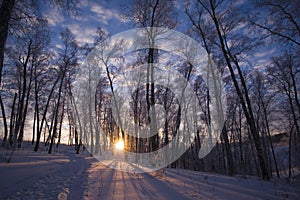 Winter sun in Siberia photo