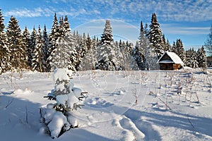 Winter sunny day