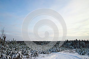 Winter sunny day in the forest. Ski track, road, path