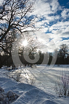 Winter sunny day photo