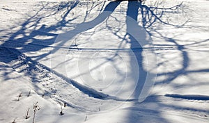 Winter sunny landscape