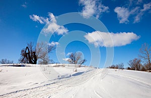 Winter sunny landscape