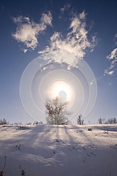 Winter sunny landscape