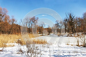 Winter sunny landscape, view of the lake in the forest in Ukraine.
