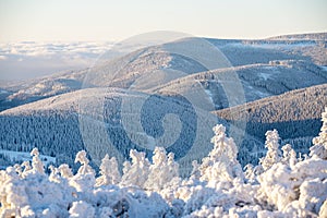 Winter sunny morning in mountains