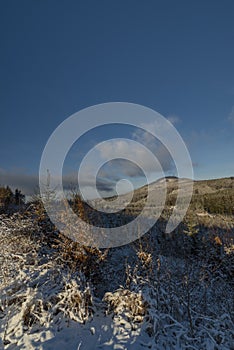 Winter sunny snow view for Tolstejn castle and Jedlova hill