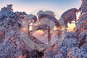 Winter sunrise landscape in Huangshan National park.