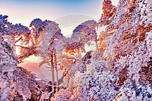 Winter sunrise landscape in Huangshan National park