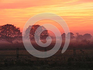 Winter sunrise over field