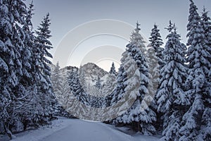 Winter sunrise scenery in mountains Tatras