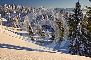 Winter sunrise on Velka Raca mountain on Kysucke Beskydy