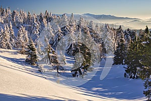 Winter sunrise on Velka Raca mountain on Kysucke Beskydy