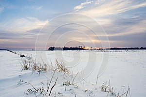 Winter sunset on the field