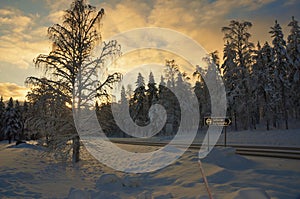 Winter sunset in the forest landscape