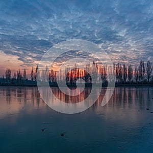 Winter sunset landscape with alley of poplars