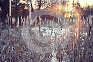 Winter sunset on the marsh