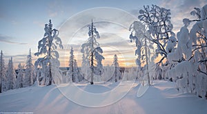 winter sunset in the mountains, sunset in the mountains, winter scene in the forest, winter in mointain forest, winter seasone