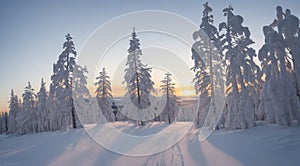 winter sunset in the mountains, sunset in the mountains, winter scene in the forest, winter in mointain forest, winter seasone