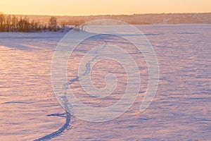winter sunset over field