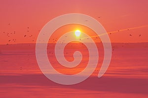 Winter sunset over field