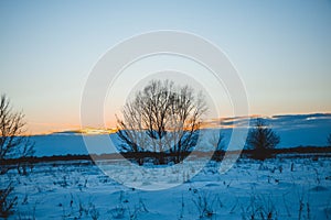 Winter sunset over the field with trees in the foreground.