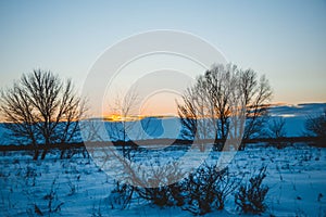 Winter sunset over the field with trees in the foreground.