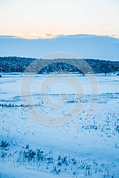 Winter sunset over the field with trees in the foreground.