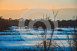 Winter sunset over the field with trees in the foreground.