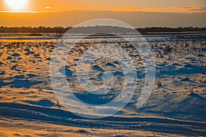 Winter sunset over the field with trees in the foreground