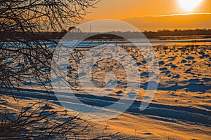 Winter sunset over the field with trees in the foreground