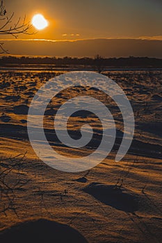 Winter sunset over the field with trees in the foreground