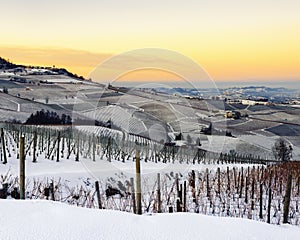 Winter sunset over the vineyards of Barolo Langhe, Piedmont,Ita