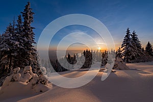 Winter sunset snow field on top of mountain with frosty pine trees on the background of taiga forest and hills under colorful sky.