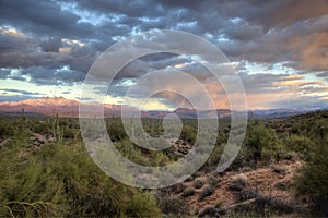 Winter Sunset, Sonoran Desert photo