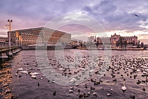 Winter Sunset in Stockholm