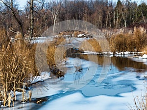 Winter in the Swamp