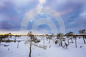 Winter in Swamp Of ÃÂ¶emeri