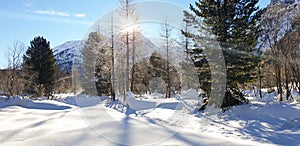 Winter in the swiss alps, Switzerland. Panoramic view. Snowy winter landscape in the mountains with fir trees and wooden fence.