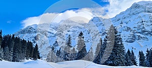 Winter in the swiss alps, Switzerland. Panoramic view. Snowy winter landscape in the mountains with fir trees and wooden fence.