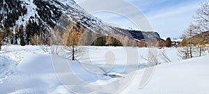 Winter in the swiss alps, Switzerland. Panoramic view. Snowy winter landscape in the mountains with fir trees and wooden fence.