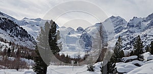 Winter in the swiss alps, Switzerland. Panoramic view. Snowy winter landscape in the mountains with fir trees and wooden fence.