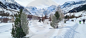Winter in the swiss alps, Switzerland. Panoramic view. Snowy winter landscape in the mountains with fir trees and wooden fence.