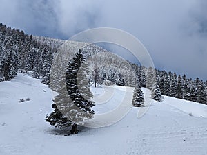 Winter in the swiss alps, Switzerland. Panoramic view. Snowy winter landscape in the mountains with fir trees and wooden fence.