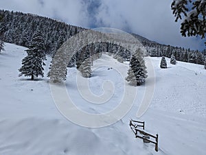 Winter in the swiss alps, Switzerland. Panoramic view. Snowy winter landscape in the mountains with fir trees and wooden fence.