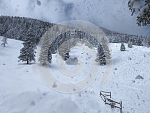 Winter in the swiss alps, Switzerland. Panoramic view. Snowy winter landscape in the mountains with fir trees and wooden fence.