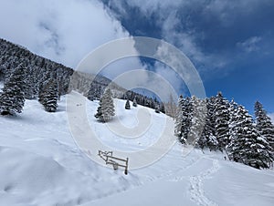 Winter in the swiss alps, Switzerland. Panoramic view. Snowy winter landscape in the mountains with fir trees and wooden fence.