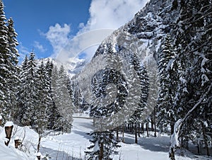 Winter in the swiss alps, Switzerland. Panoramic view. Snowy winter landscape in the mountains with fir trees and wooden fence.